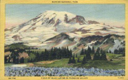 Nacionalni park Rainier, Washington Razglednica