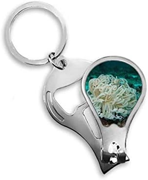 Ocean zelena meduza znanost priroda nokat za nokat rezača otvarača ključa ključa Scissor