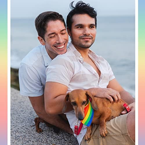 3 komada Rainbow Dog Cat Bandana Collar Gay Pride Dog Bandana Rainbow Flag Mačka Dog ovvratnik za LGBT Pride Day Dishable