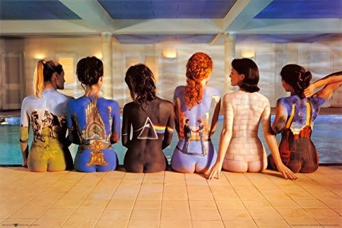 Pink Floyd Back Katalog Music Album Artwork 36x24 Art Print poster