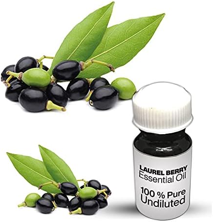Laurel Berry Esencijalno ulje / čista laurel bobica nerazrijeđena kvaliteta esencijalnog ulja