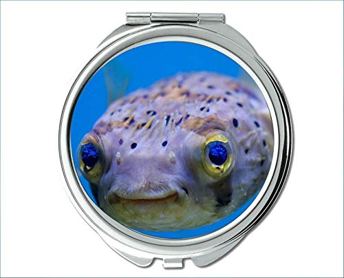 Ogledalo, putno ogledalo, tema džepnog ogledala za ribolov basova, prijenosno ogledalo s 1-inčnim 2-strukim povećanjem