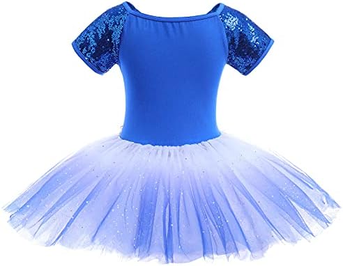 Djevojke princeza Shiny Balet Leotard Dance haljine cvjetni vintage šljokice Prom Tutu Full Skirt Party Tulle Show haljine