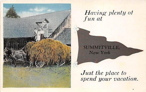 Summitville, New York razglednice