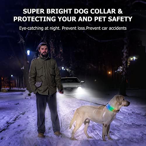 Rigcho LED Odjeljak za pse, Bluetooth App kontrolira više RGB animacija u boji Digitalna LED osvjetljavanje psećeg ovratnika,